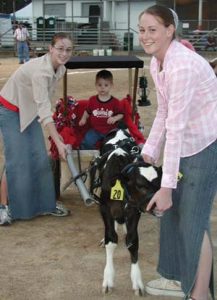 Fairs Feature Fun Festivities Image